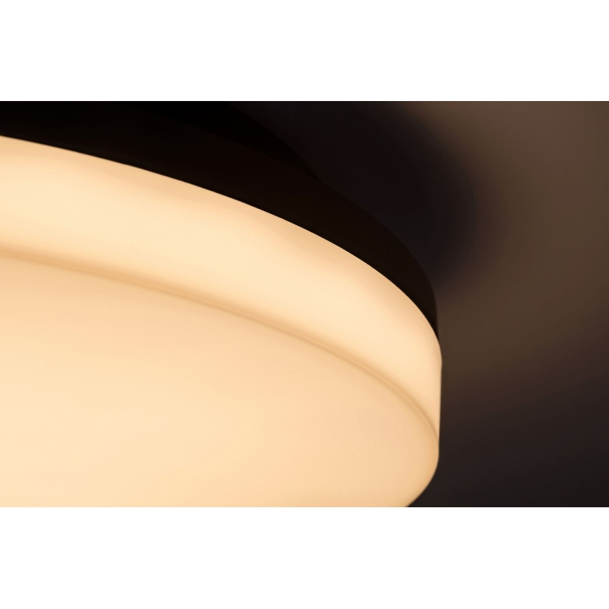 Rabalux - LED Koupelnové stropní svítidlo LED/24W/230V IP54