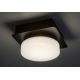 Rabalux - LED Stropní koupelnové svítidlo LED/5W/230V IP44 4000K černá