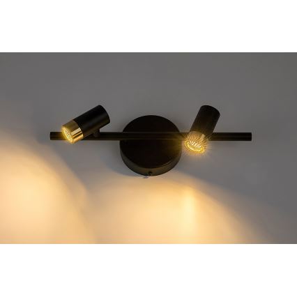 Rabalux - LED Nástěnné bodové svítidlo 2xLED/3W/230V 4000K