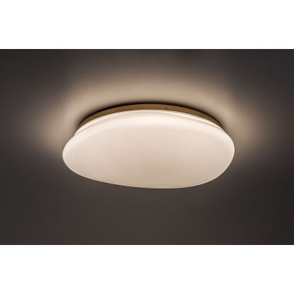 Rabalux - LED Koupelnové stropní svítidlo LED/24W/230V IP44 pr. 41 cm