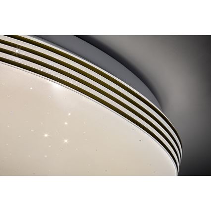 Rabalux - LED Koupelnové stropní svítidlo LED/18W/230V IP44 pr. 34 cm