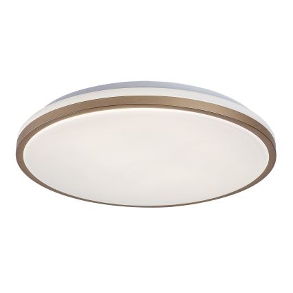 Rabalux - LED Koupelnové stropní svítidlo LED/18W/230V IP44 pr. 34 cm