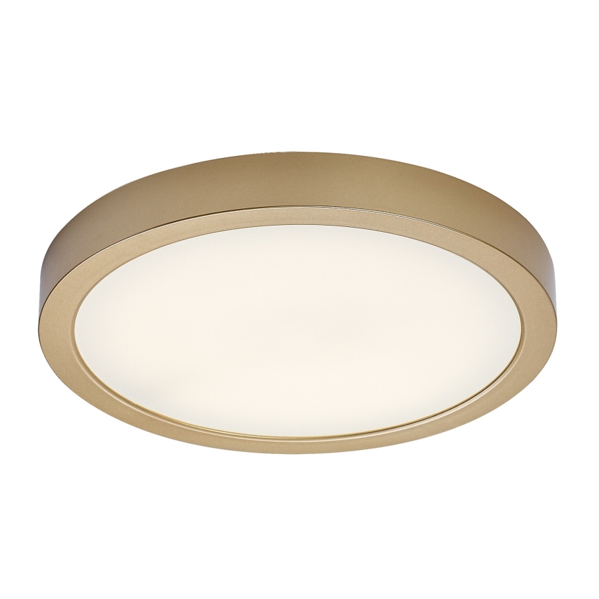 Rabalux - LED Koupelnové stropní svítidlo LED/30W/230V pr. 30 cm IP44 zlatá