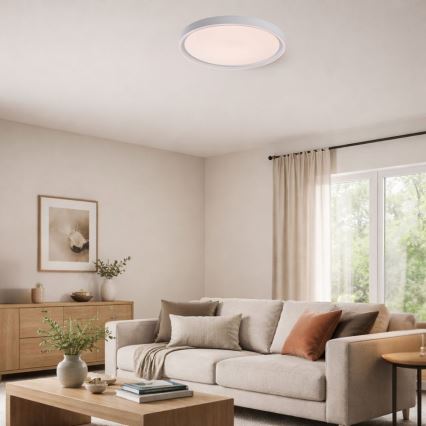 Rabalux - LED Stmívatelné stropní svítidlo LED/31W/230V IP40 3000-6500K pr. 41,5 cm + dálkové ovládání
