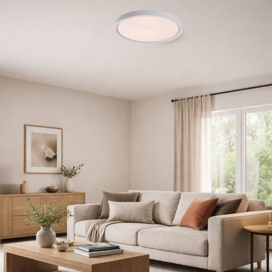 Rabalux - LED Stmívatelné stropní svítidlo LED/31W/230V IP40 3000-6500K pr. 41,5 cm + dálkové ovládání
