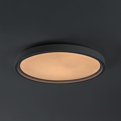 Rabalux - LED Stmívatelné stropní svítidlo LED/31W/230V IP40 3000-6500K pr. 41,5 cm + dálkové ovládání