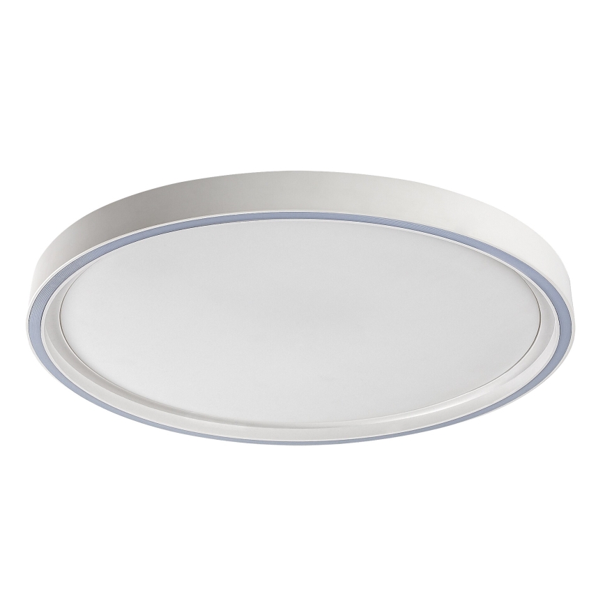 Rabalux - LED Stmívatelné stropní svítidlo LED/31W/230V IP40 3000-6500K pr. 41,5 cm + dálkové ovládání