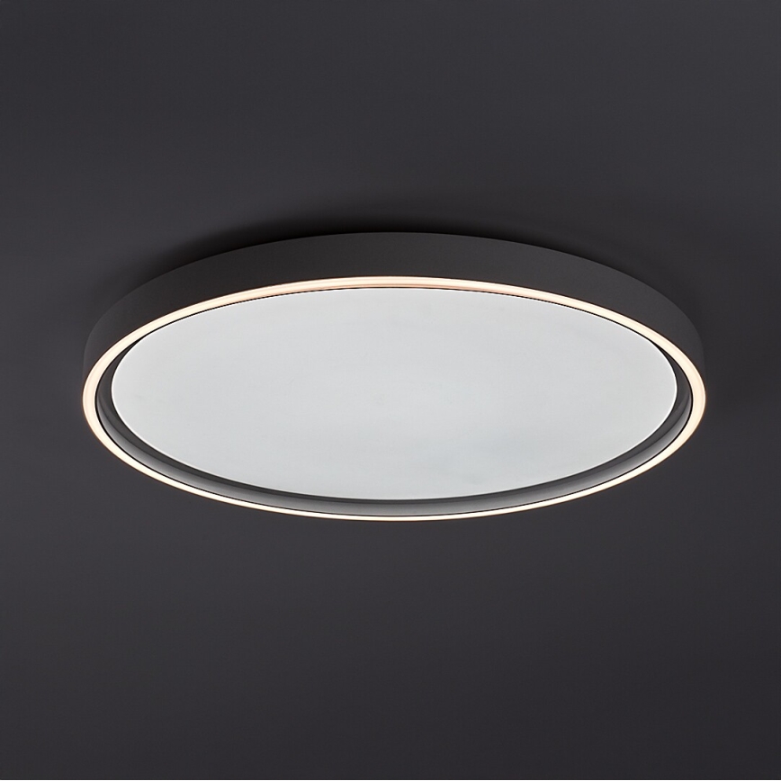 Rabalux - LED Stmívatelné stropní svítidlo LED/54W/230V IP40 3000-6500K pr. 52 cm + dálkové ovládání