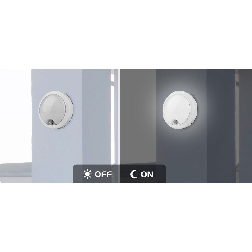 Rabalux - LED Venkovní nástěnné svítidlo se senzorem LED/15W/230V IP54
