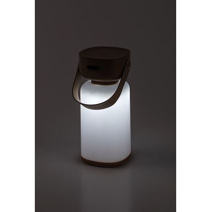 Rabalux - LED Venkovní stmívatelná dotyková nabíjecí stolní lampa LED/3W/5V IP44 hnědá