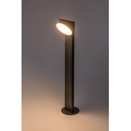 Rabalux - LED Venkovní lampa LED/12W/230V IP54