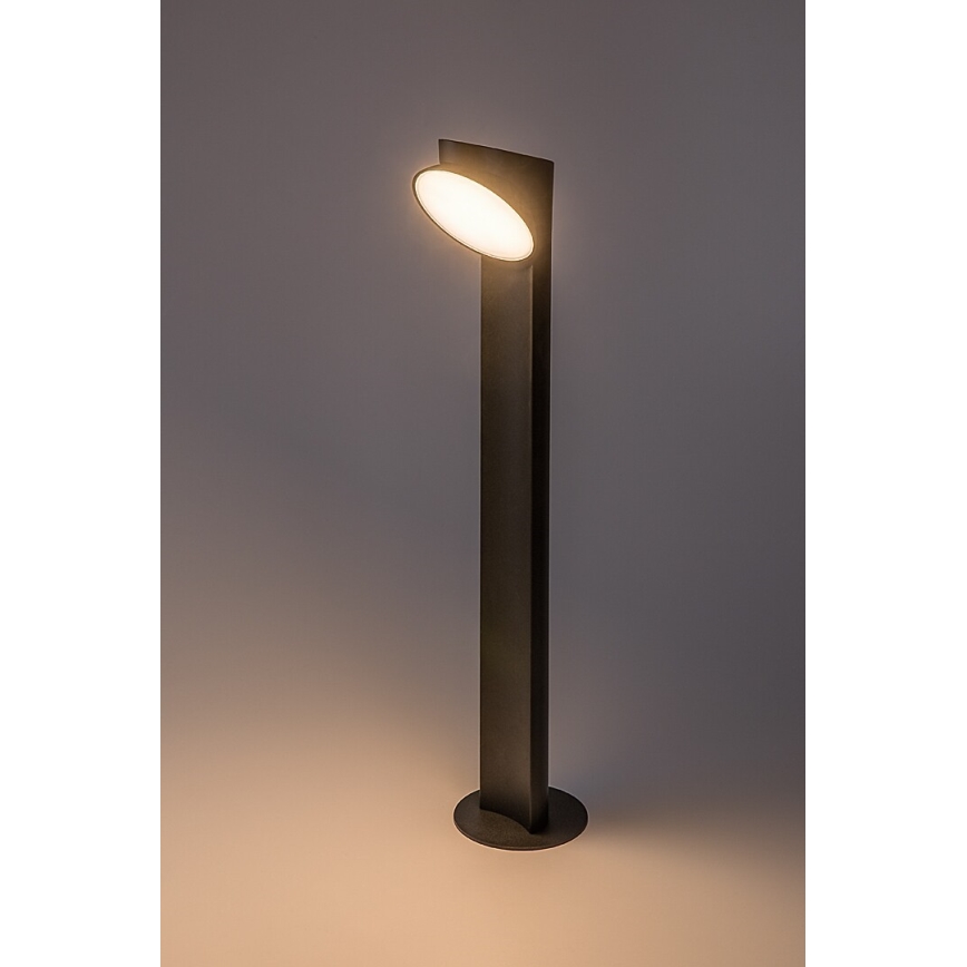 Rabalux - LED Venkovní lampa LED/12W/230V IP54