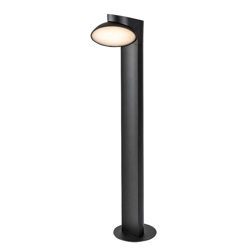Rabalux - LED Venkovní lampa LED/12W/230V IP54