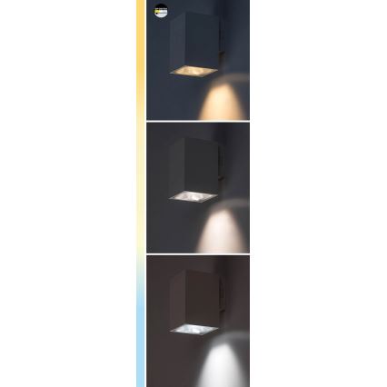 Rabalux - LED Venkovní nástěnné svítidlo LED/9W/230V 2700/4000/6500K IP65 černá