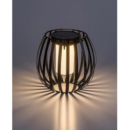 Rabalux - LED Solární svítidlo LED/1W/1,2V 300mAh IP44