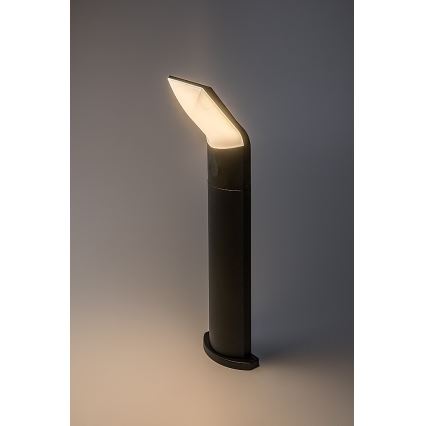 Rabalux - LED Venkovní lampa LED/10W/230V IP54
