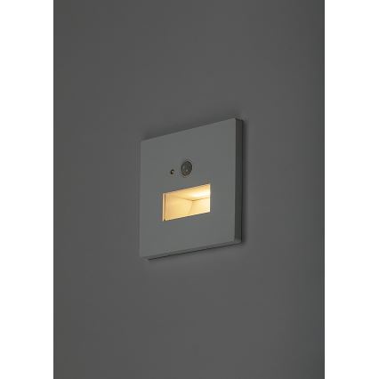 Rabalux - LED Schodišťové svítidlo se senzorem pohybu a soumraku LED/1W/230V 3000/4500/6500K bílá