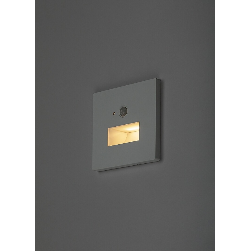 Rabalux - LED Schodišťové svítidlo se senzorem pohybu a soumraku LED/1W/230V 3000/4500/6500K bílá