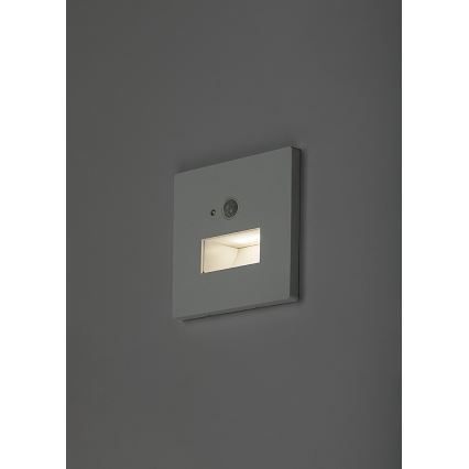 Rabalux - LED Schodišťové svítidlo se senzorem pohybu a soumraku LED/1W/230V 3000/4500/6500K bílá
