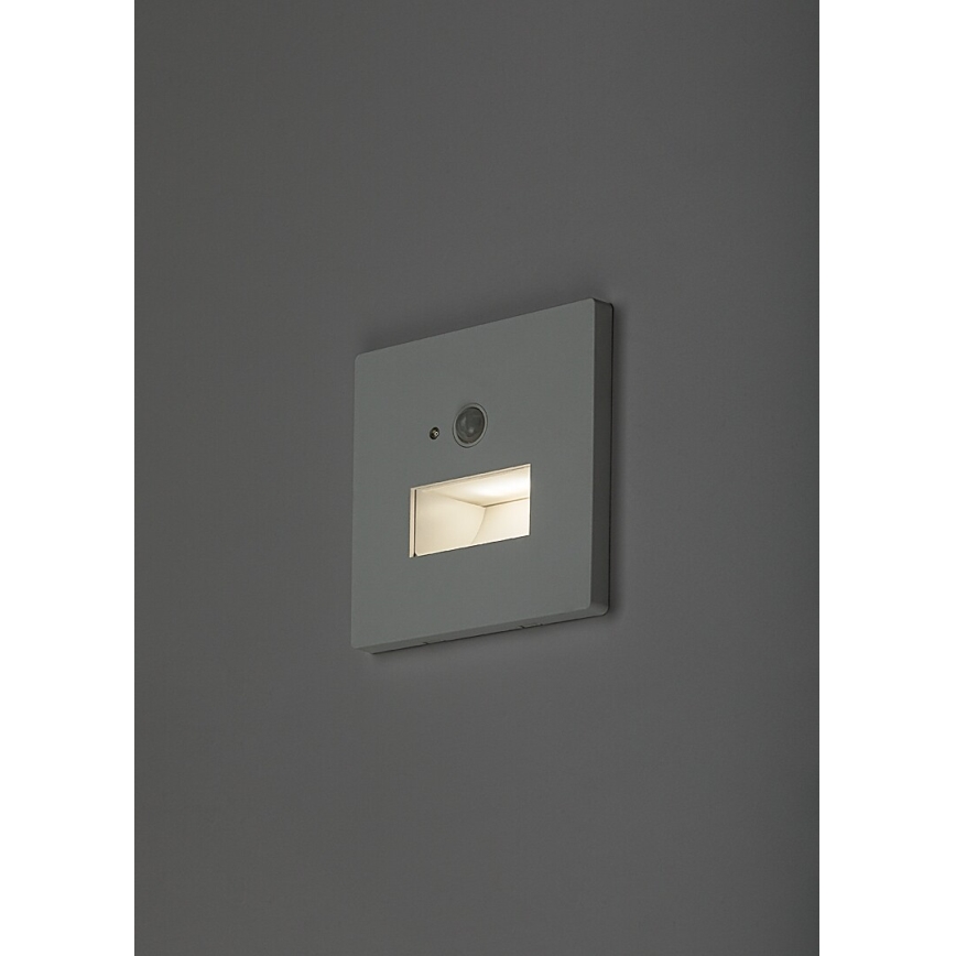 Rabalux - LED Schodišťové svítidlo se senzorem pohybu a soumraku LED/1W/230V 3000/4500/6500K bílá