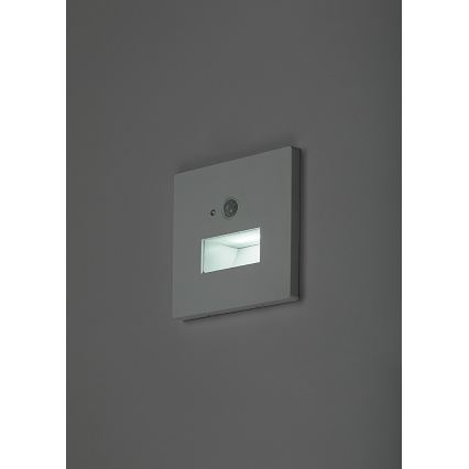 Rabalux - LED Schodišťové svítidlo se senzorem pohybu a soumraku LED/1W/230V 3000/4500/6500K bílá
