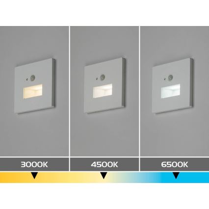 Rabalux - LED Schodišťové svítidlo se senzorem pohybu a soumraku LED/1W/230V 3000/4500/6500K bílá