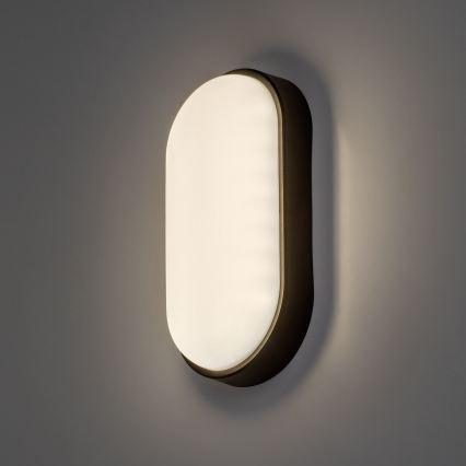 Rabalux - LED Venkovní nástěnné svítidlo LED/14W/230V IP54 černá