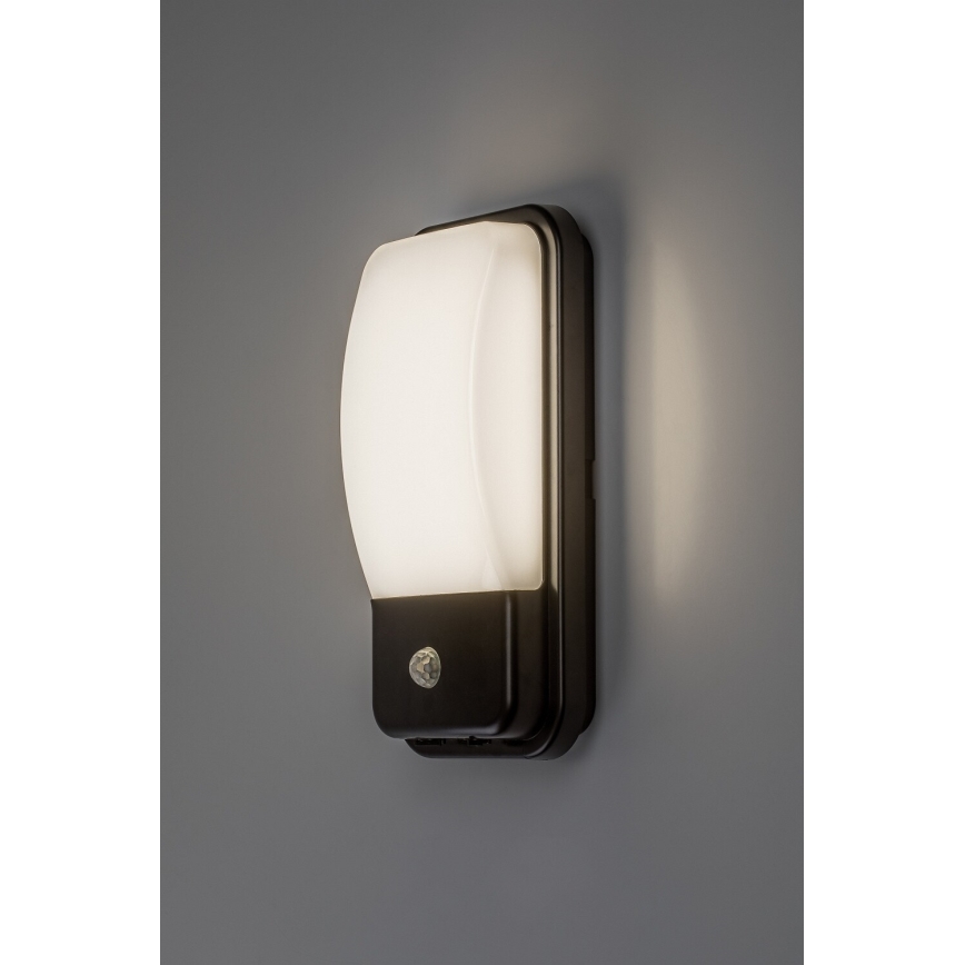 Rabalux - LED Venkovní nástěnné svítidlo se senzorem pohybu LED/20W/230V IP65