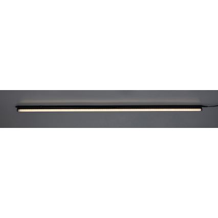 Rabalux - LED Podlinkové svítidlo LED/16W/230V 3000/4000K černá