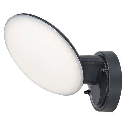 Rabalux - LED Venkovní nástěnné svítidlo LED/12W/230V IP54