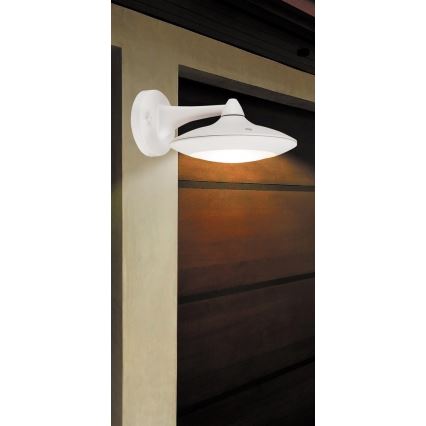 Rabalux - LED Venkovní nástěnné svítidlo OAKLAND 1xLED/6W IP54