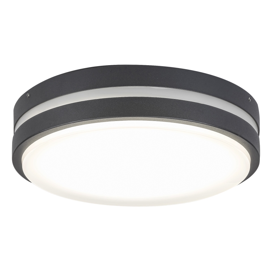 Rabalux - LED Venkovní nástěnné svítidlo HAMBURG LED/12W/230V IP44
