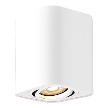 Rabalux - Bodové svítidlo 1xGU10/42W/230V bílá