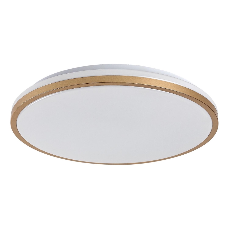 Rabalux - LED Koupelnové stropní svítidlo LED/18W/230V IP44 pr. 34 cm