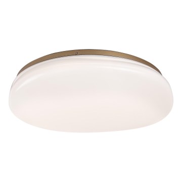Rabalux - LED Koupelnové stropní svítidlo LED/24W/230V IP44 pr. 41 cm