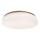 Rabalux - LED Koupelnové stropní svítidlo LED/24W/230V IP44 pr. 41 cm
