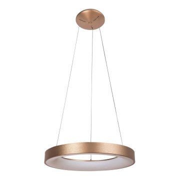 Rabalux - LED Lustr na lanku CARMELLA LED/50W/230V pr. 60 cm