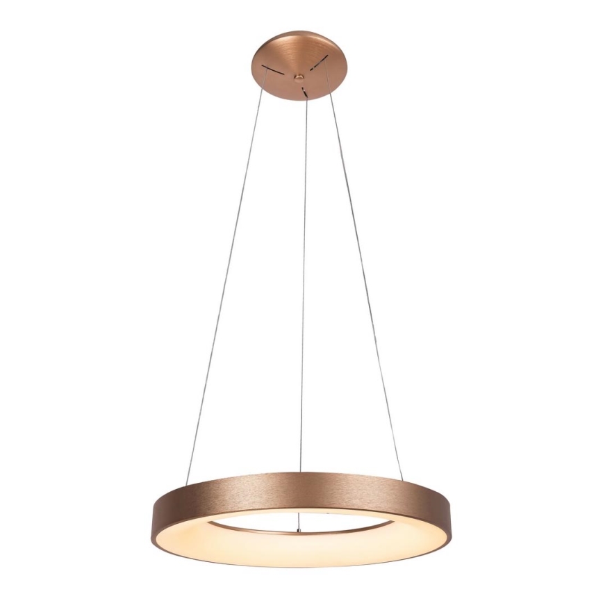 Rabalux - LED Lustr na lanku CARMELLA LED/80W/230V
