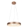 Rabalux - LED Lustr na lanku CARMELLA LED/80W/230V