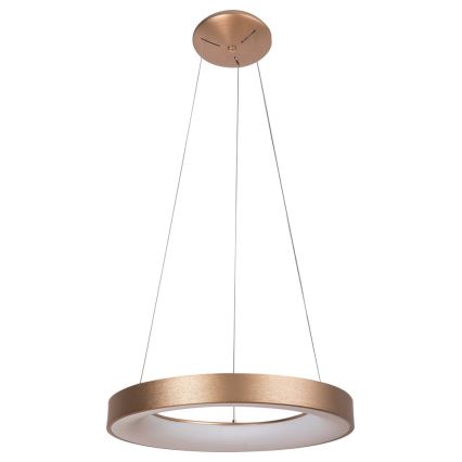 Rabalux - LED Lustr na lanku CARMELLA LED/80W/230V