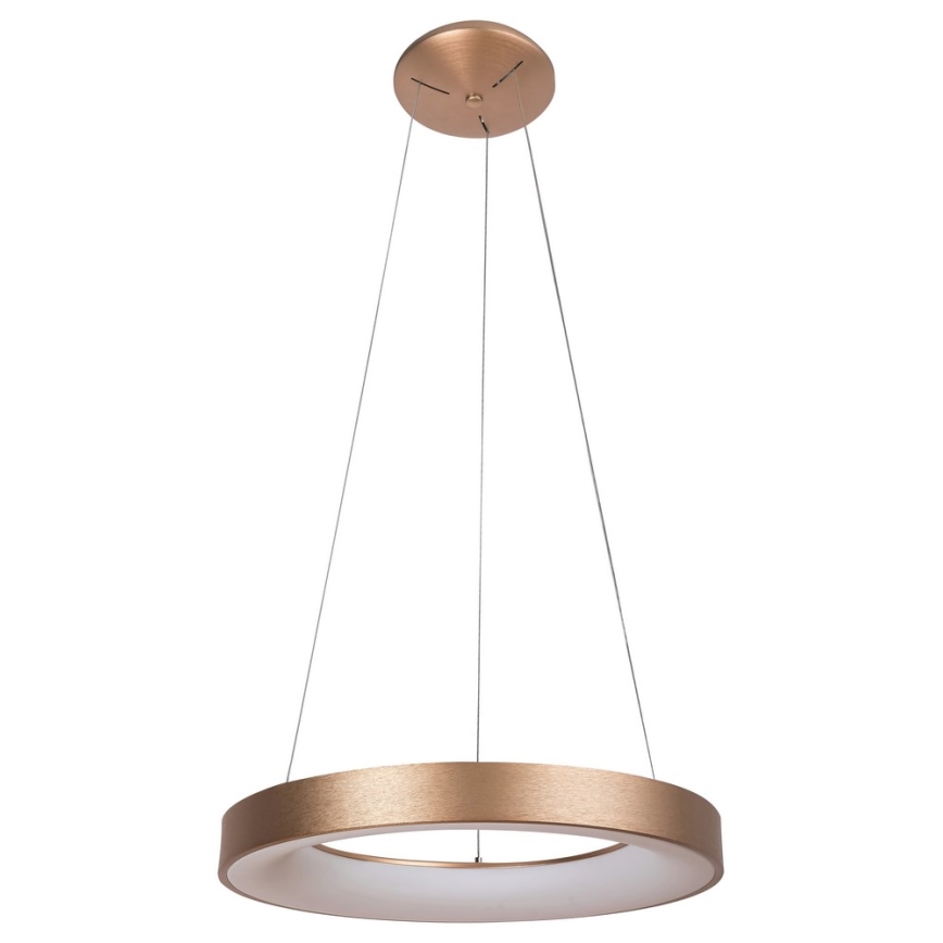 Rabalux - LED Lustr na lanku CARMELLA LED/80W/230V