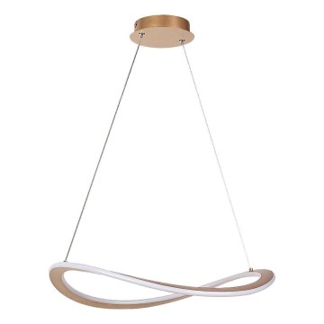 Rabalux - LED Lustr na lanku LED/40W/230V 3000K