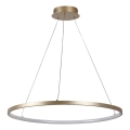 Rabalux - LED Lustr na lanku LED/55W/230V 3000K