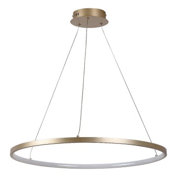 Rabalux - LED Lustr na lanku LED/55W/230V 3000K