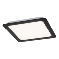 Rabalux - LED Podhledové svítidlo LED/24W/230V 4000K 22x22 cm