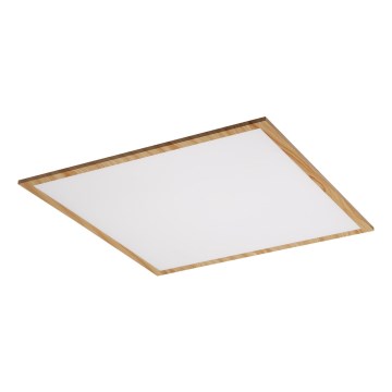 Rabalux - LED Přisazený panel LED/40W/230V 4000K