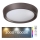 Rabalux - LED RGB Stmívatelné stropní svítidlo LED/24W/230V 3000-6000K + dálkové ovládání