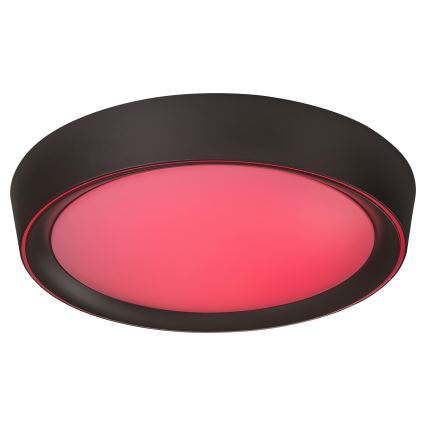 Rabalux - LED RGB Stmívatelné stropní svítidlo LED/24W/230V 3000-6000K + dálkové ovládání