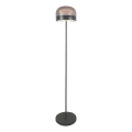 Rabalux - LED Stmívatelná stojací lampa LED/20W/230V 3000/4000/6000K