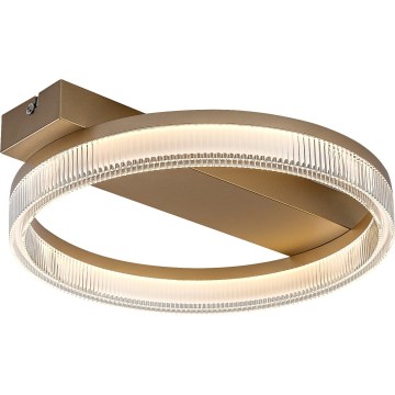 Rabalux - LED Stmívatelné stropní svítidlo LED/18W/230V 3000-6500K 37x33 cm + dálkové ovládání